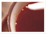 快速检测安全的免费测试呼死你